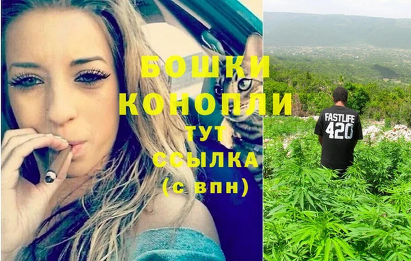 гидропоника Бугульма